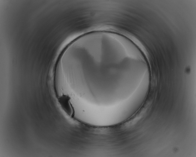 X0000101121053200807171955