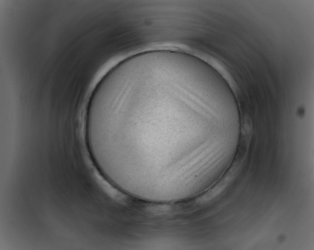 X0000101121054200807171955