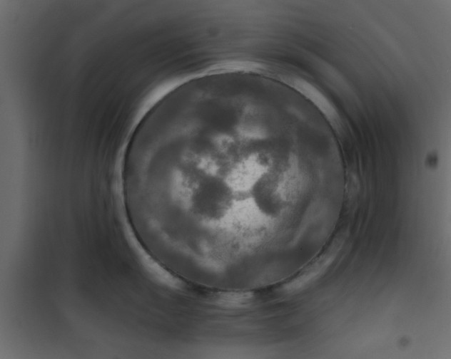 X0000101121055200807171955