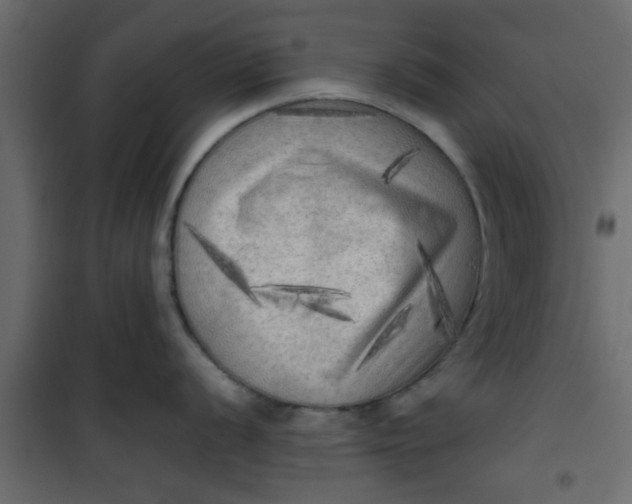 X0000101121056200807171955