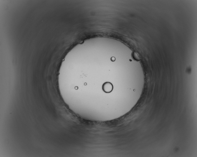 X0000101121057200807171955