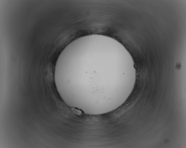 X0000101121058200807171955