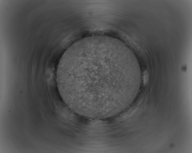 X0000101121059200807171955