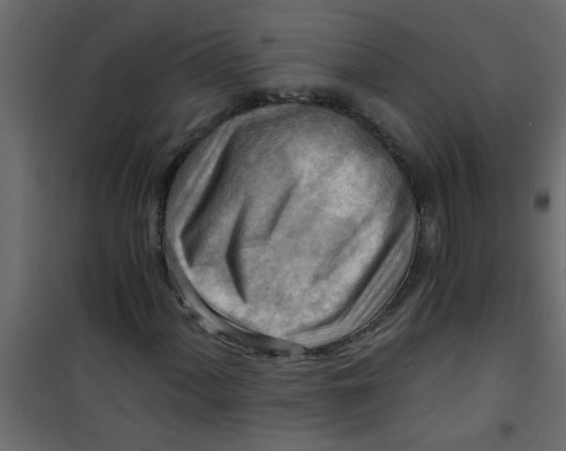 X0000101121060200807171955