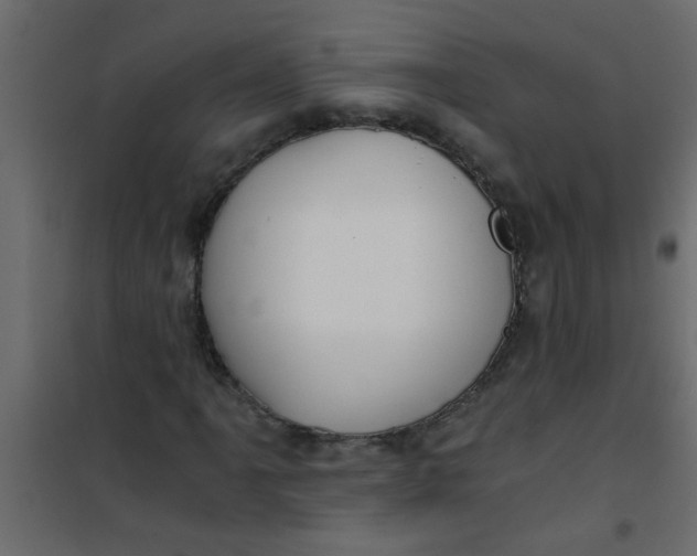 X0000101121061200807171955