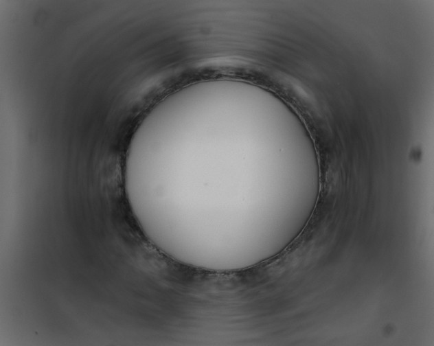 X0000101121062200807171955