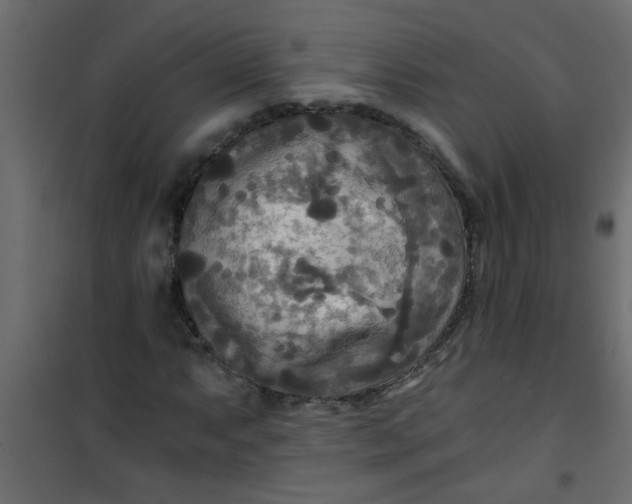 X0000101121063200807171955