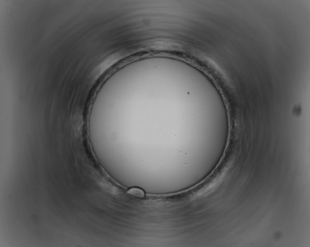 X0000101121065200807171954