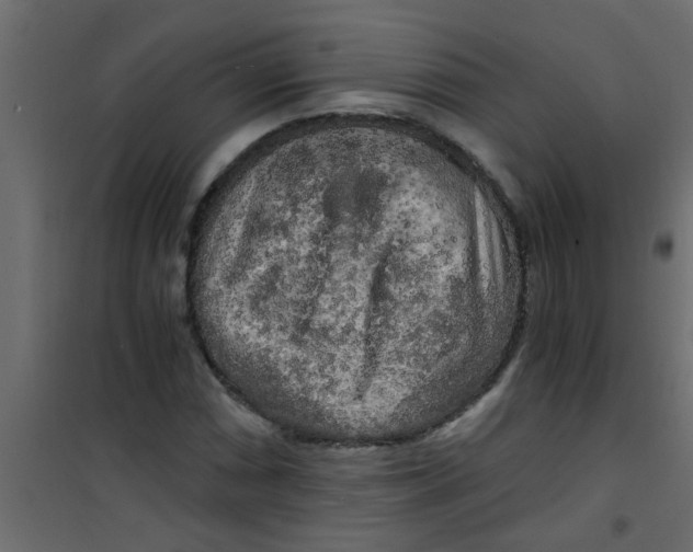 X0000101121066200807171954