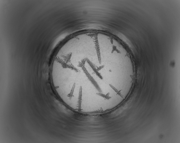 X0000101121067200807171954