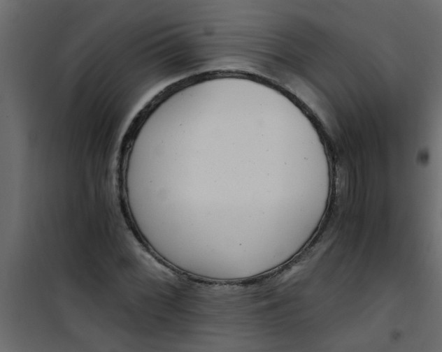 X0000101121068200807171954