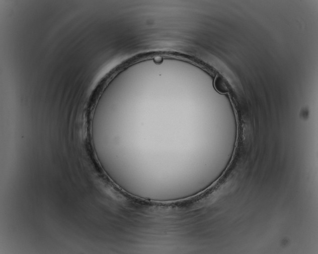 X0000101121069200807171954
