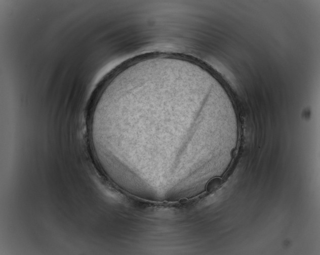X0000101121070200807171954
