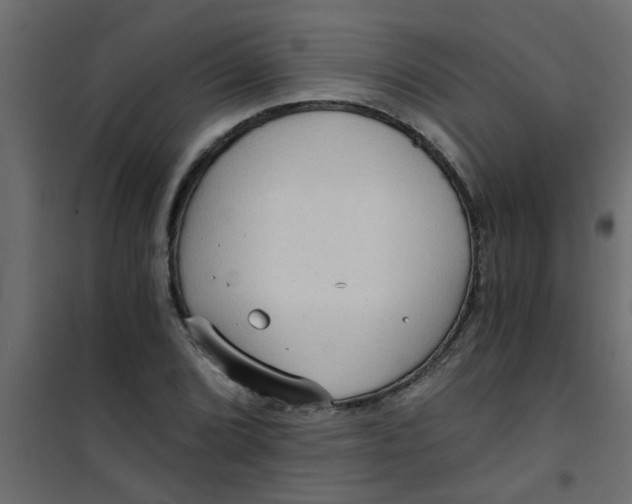 X0000101121072200807171954