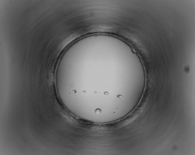 X0000101121073200807171954