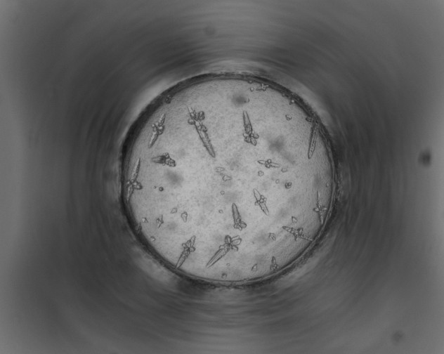 X0000101121075200807171954