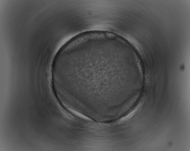 X0000101121077200807171954