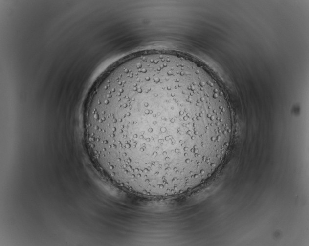 X0000101121078200807171954