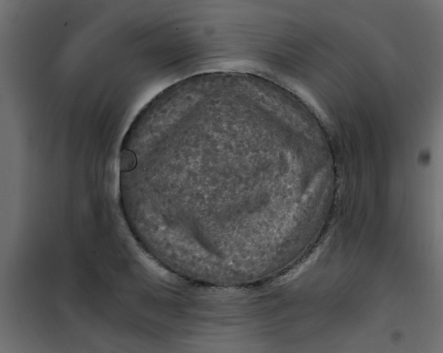 X0000101121079200807171954