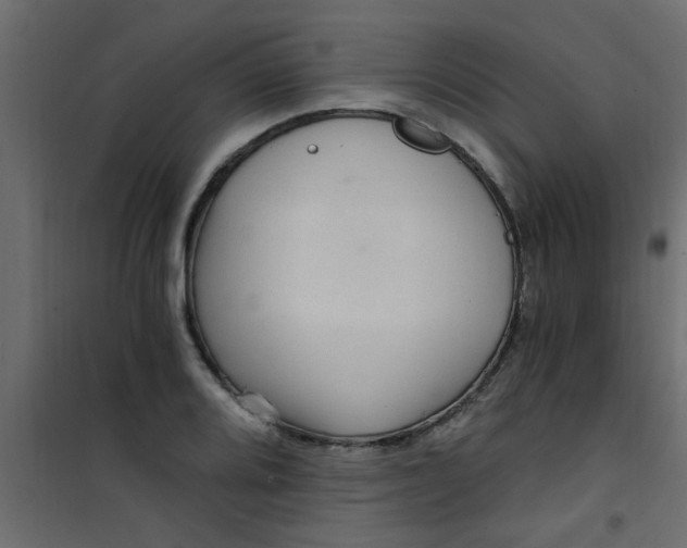 X0000101121080200807171954
