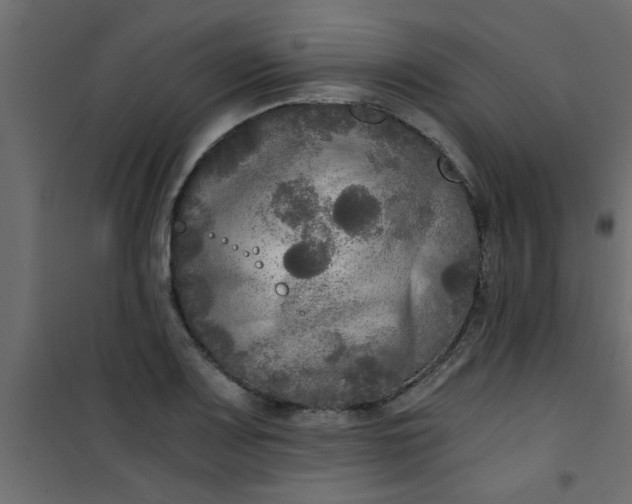X0000101121083200807171954