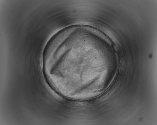 X0000101121084200807171954