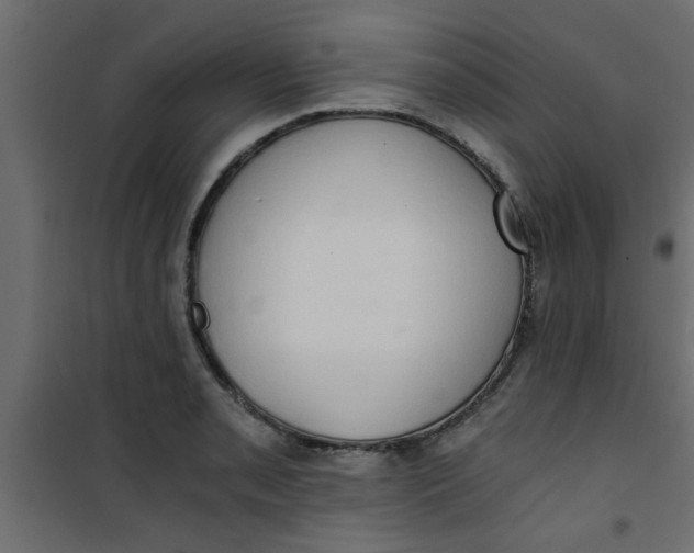 X0000101121085200807171954