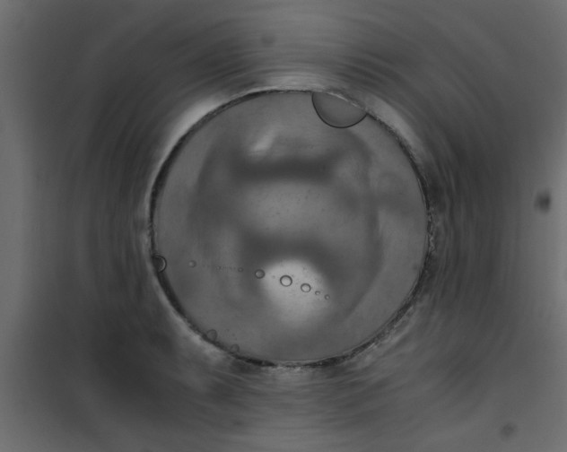 X0000101121087200807171954