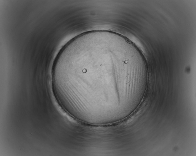X0000101121088200807171954