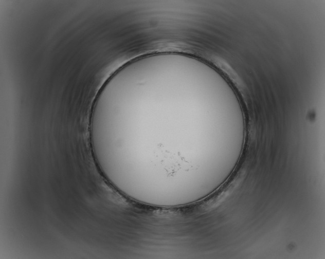 X0000101121089200807171954