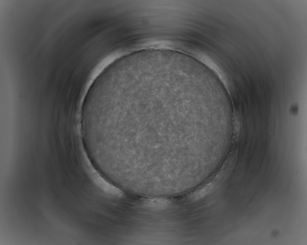 X0000101121090200807171954