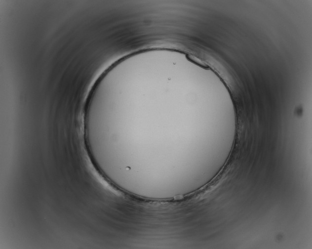 X0000101121092200807171954