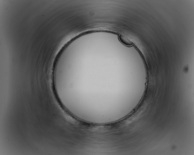 X0000101121093200807171954