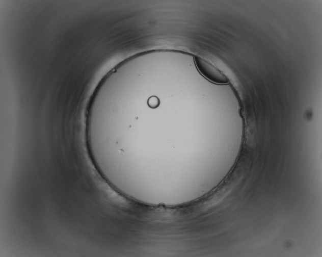 X0000101121096200807171954