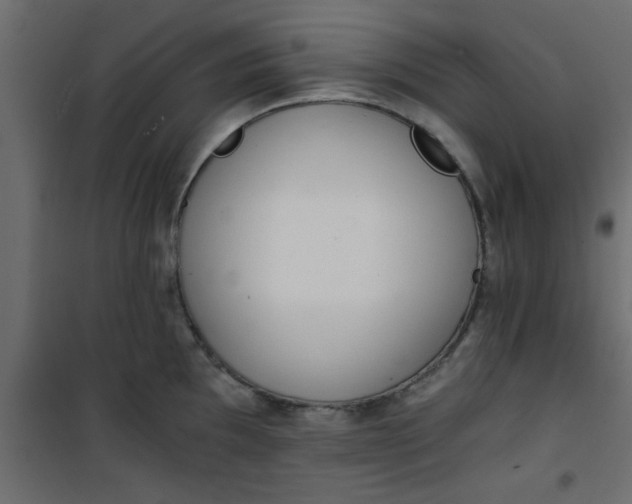 X0000101121097200807171954