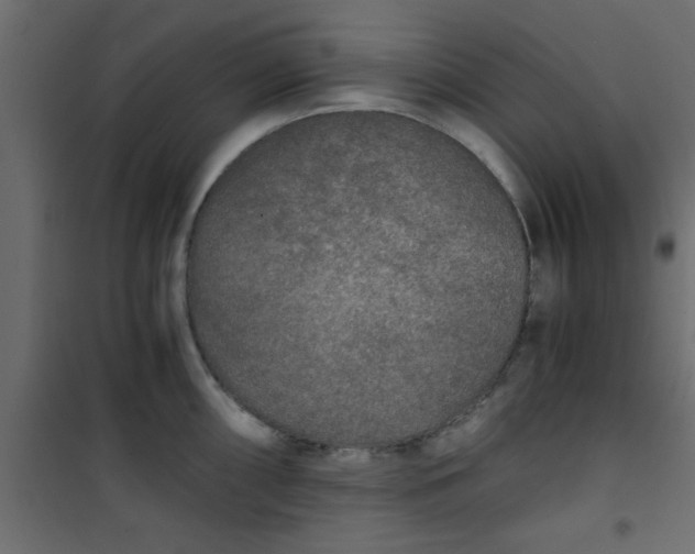 X0000101121098200807171954