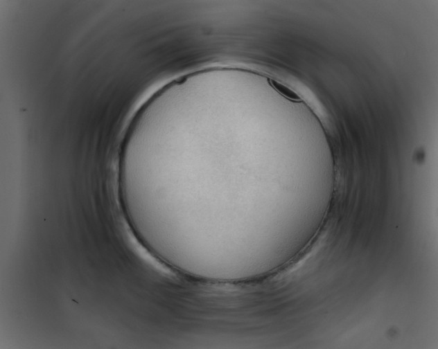 X0000101121100200807171954