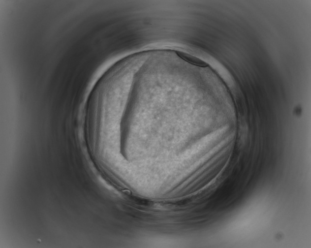 X0000101121102200807171954