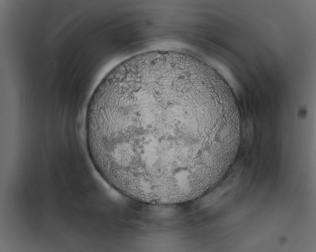 X0000101121103200807171954