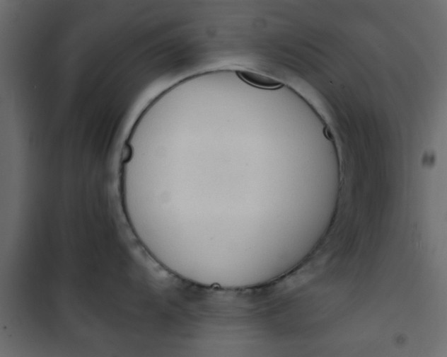 X0000101121104200807171954