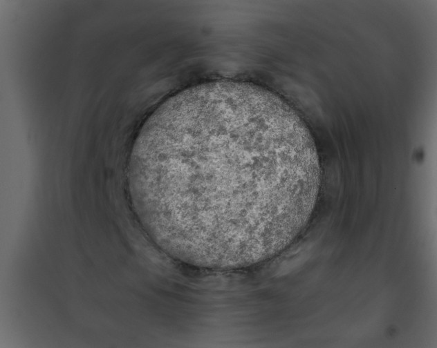 X0000101121105200807171953