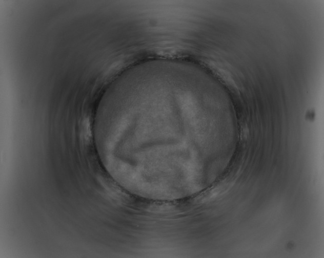 X0000101121106200807171953
