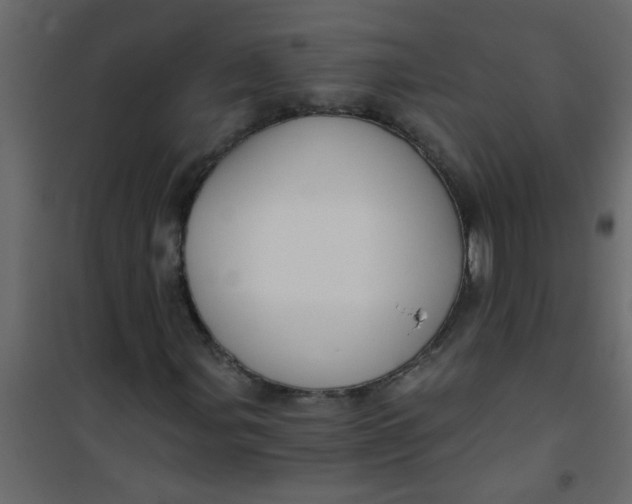 X0000101121107200807171953