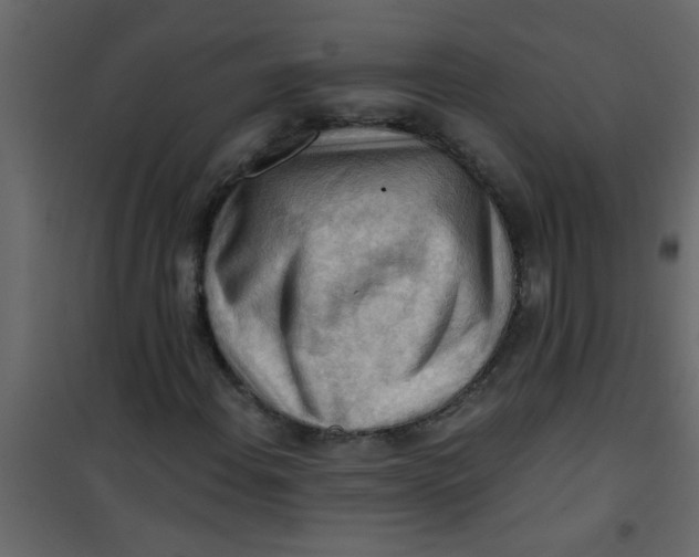 X0000101121108200807171953