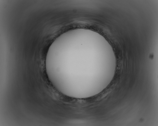 X0000101121109200807171953
