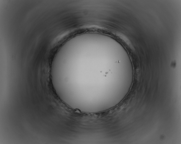 X0000101121111200807171953