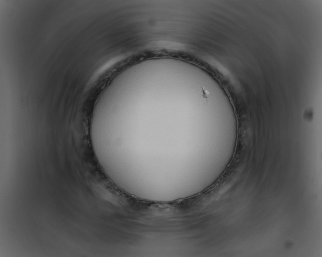X0000101121112200807171953