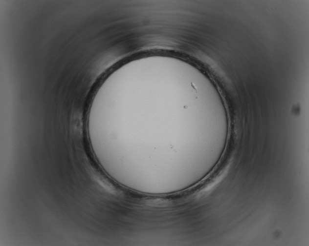 X0000101121113200807171953