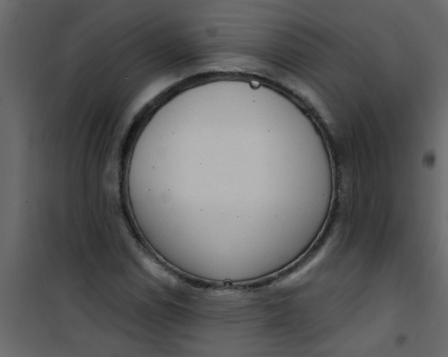 X0000101121114200807171953