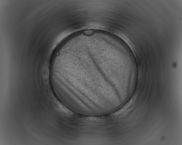 X0000101121115200807171953
